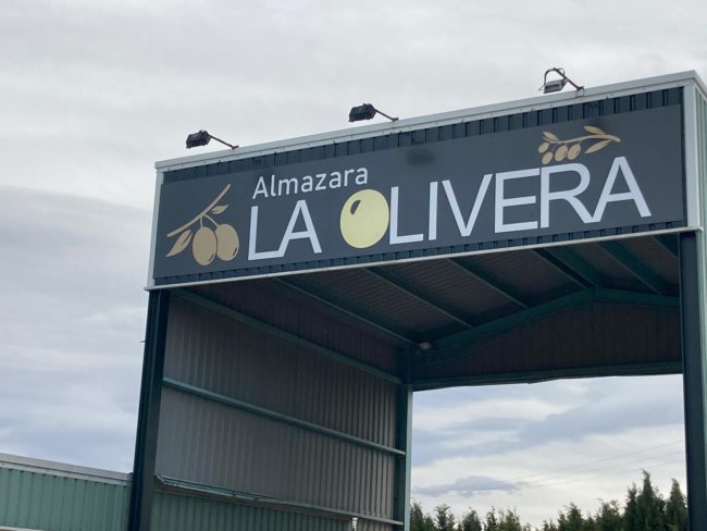 Visita la Almazara en otoño