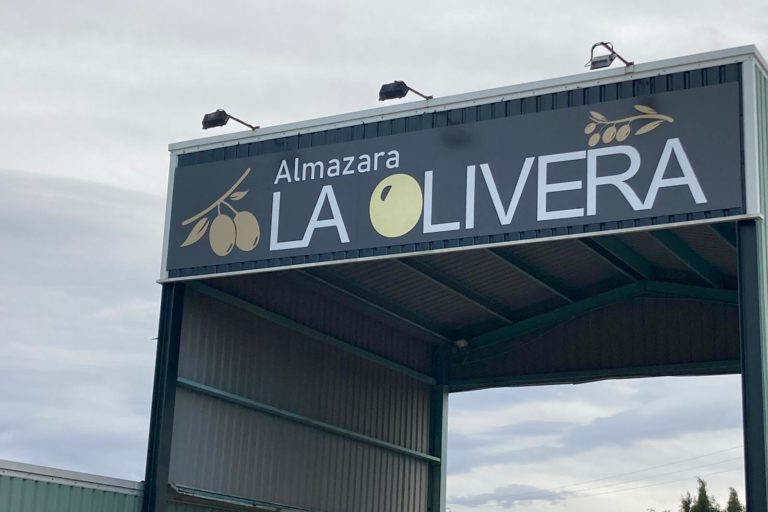 Visita la Almazara en otoño