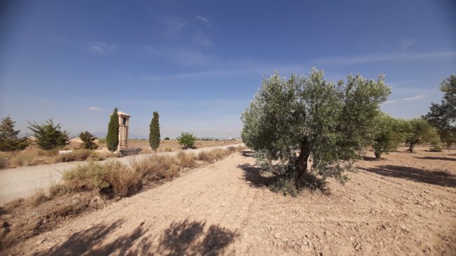 Vista de El Pilar de la Corona – Magallon