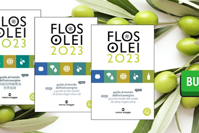 Guía FLOS OLEI 2023