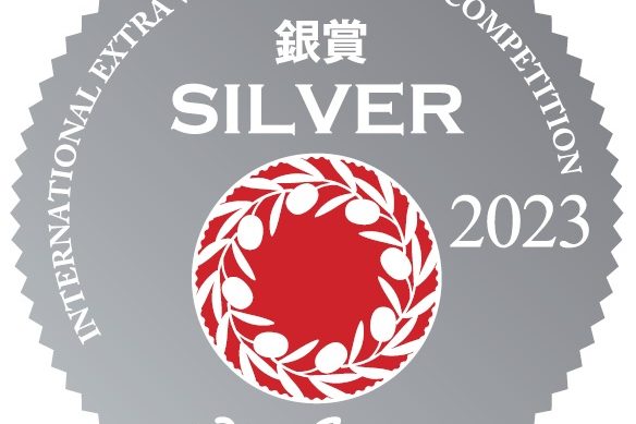 PLATA EN JAPÓN 2023